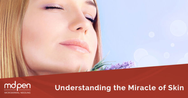 Understanding the Miracle of Skin
